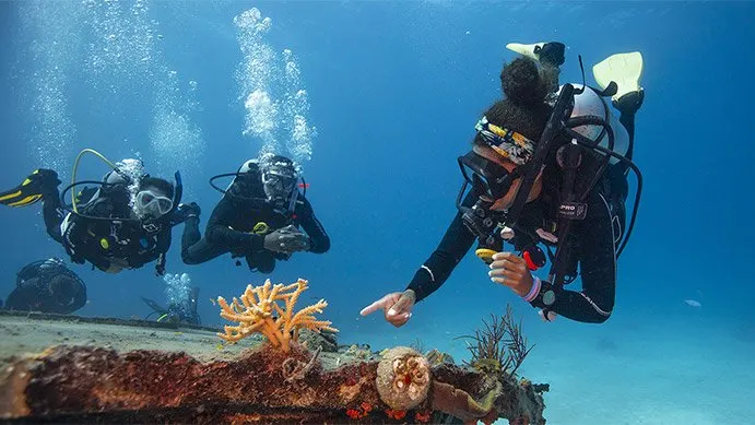 PADI Divemaster